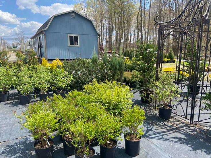 Country Colors Greenhouse Ohio Welcome